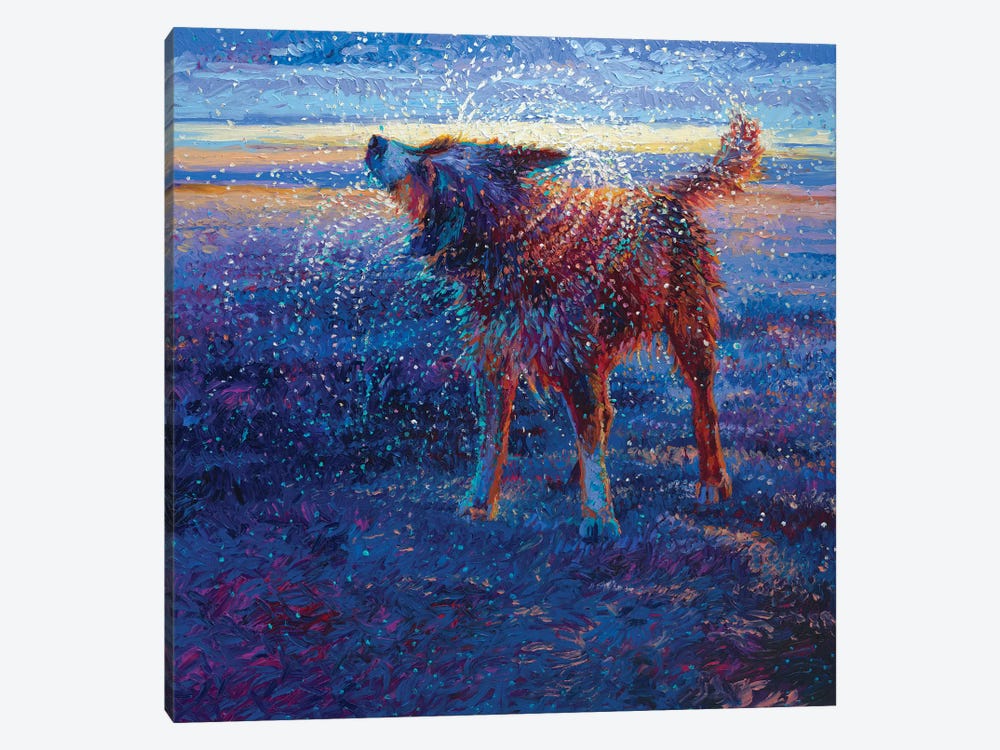 Coastal Canine by Iris Scott 1-piece Canvas Art Print