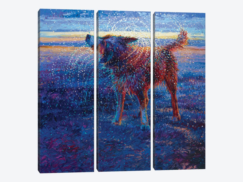 Coastal Canine by Iris Scott 3-piece Canvas Art Print