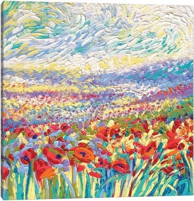 Poppy Study Canvas Art Print - Field, Grassland & Meadow Art