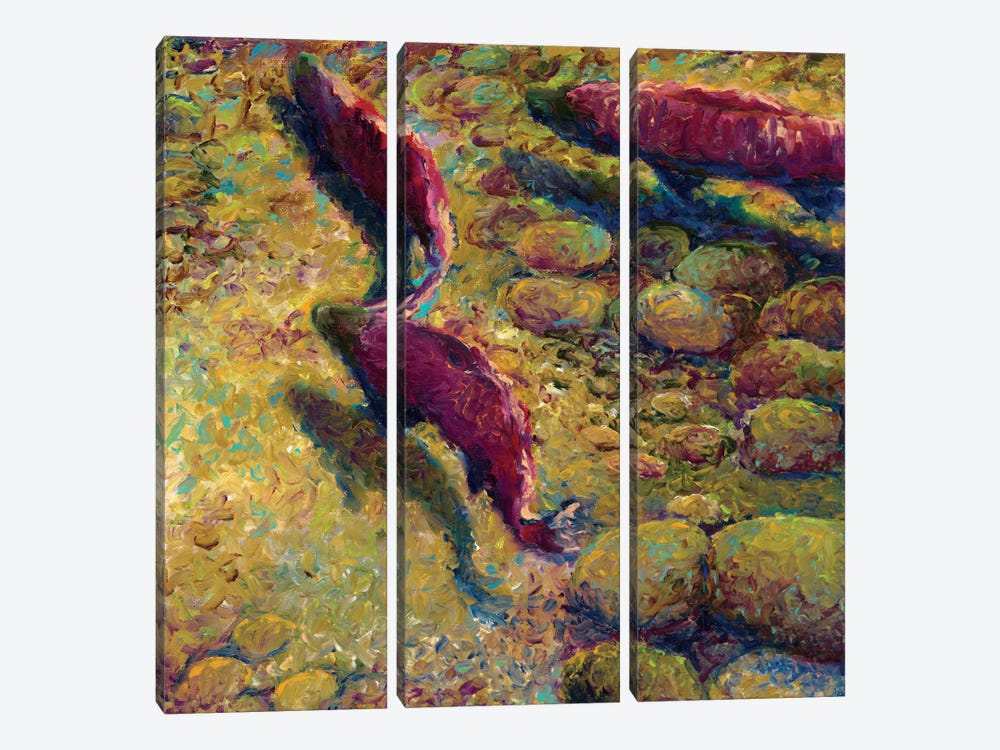 Cork Creek by Iris Scott 3-piece Canvas Print