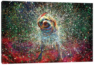 Aquarius Canvas Art Print - Iris Scott - Shakin' Dogs