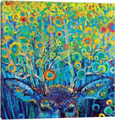 Buckeye Canvas Art Print - Deer Art