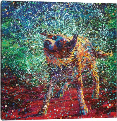 Collie Canvas Art Print - Best Selling Dog Art