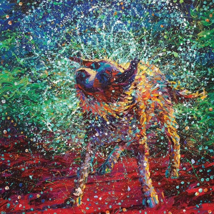 Collie by Iris Scott wall art