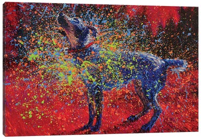 Ocean Spray Canvas Art Print - Iris Scott - Shakin' Dogs