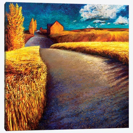 Whispering Wheat Canvas Print #IRS191} by Iris Scott Canvas Wall Art