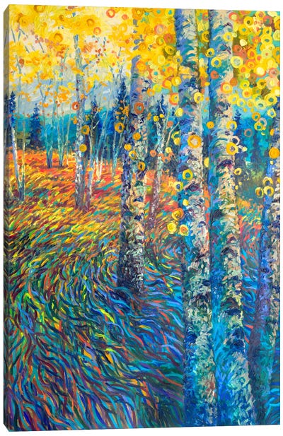 Beyond Candyland Canvas Art Print - Aspen and Birch Trees