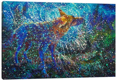 Lobo del Cielo Canvas Art Print - German Shepherd Art