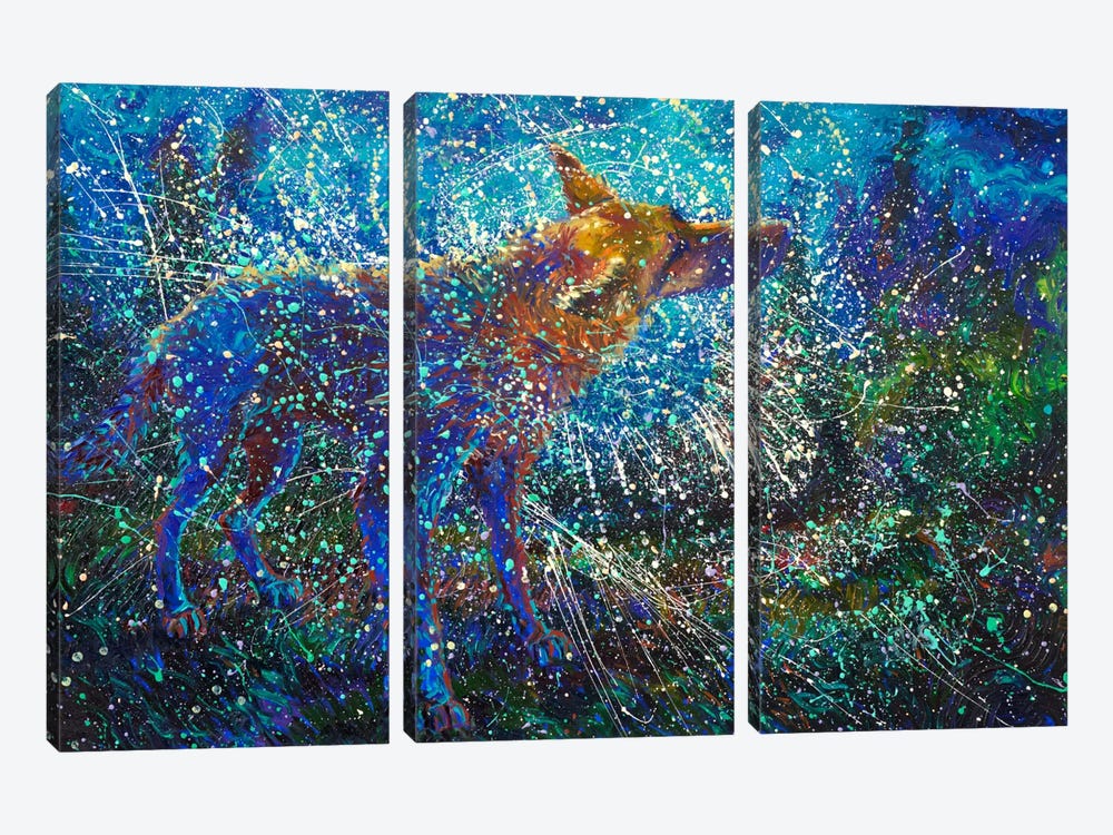 Lobo del Cielo by Iris Scott 3-piece Canvas Art Print