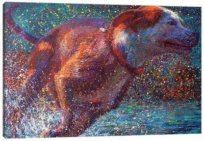 Aquavita Canvas Art Print - Best Selling Dog Art