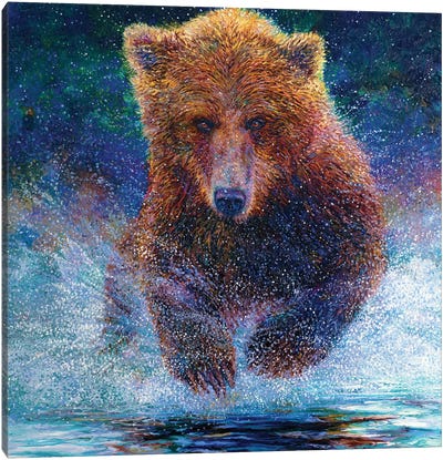 Arctos Canvas Art Print - Bear Art
