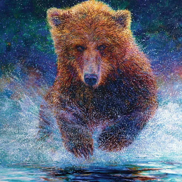 Current Day Impressionism: Arctos by Iris Scott