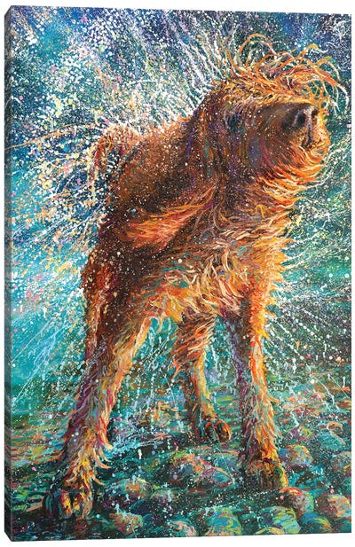 Beaded Threads Canvas Art Print - Dog Art