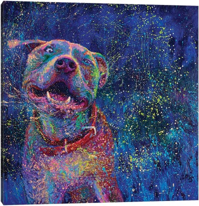 Blue Chakra Canvas Art Print - Dog Art