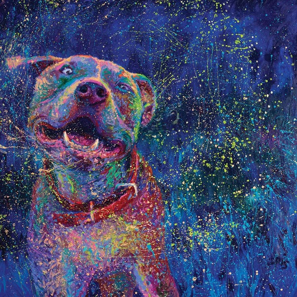 The Modern Man's Best Friend: Blue Chakra by Iris Scott