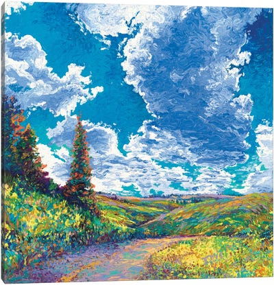 Edge of Canyon Road Canvas Art Print - Field, Grassland & Meadow Art