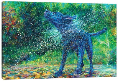 Fishtail Creek Canvas Art Print - Best Selling Dog Art