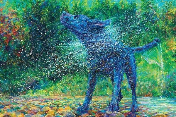 Dogs: Fishtail Creek by Iris Scott