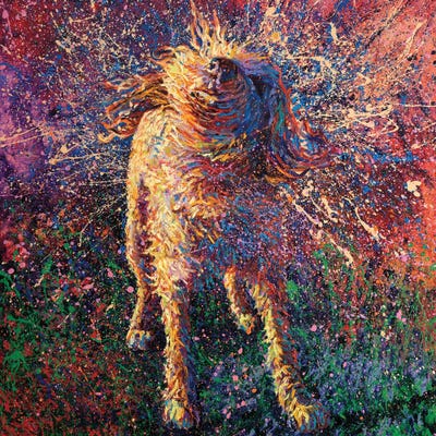 Graffiti Suspended by Iris Scott multi panel art