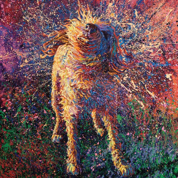 Current Day Impressionism: Graffiti Suspended by Iris Scott