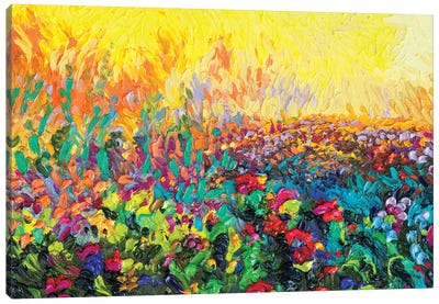 Lil Cacti Canvas Art Print - Intense Impressionism