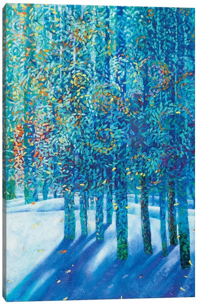 Nieve Canvas Art Print - Winter Wonderland