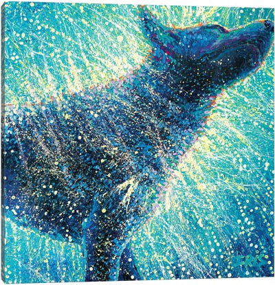 Not Only The Blues Canvas Art Print - Pet Industry