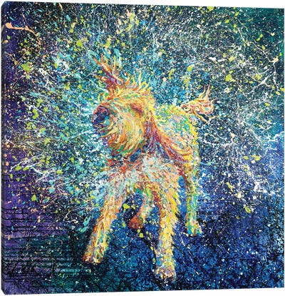 Teroidal Canvas Art Print - Best Selling Dog Art