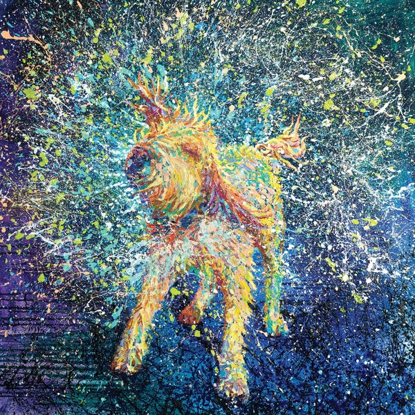 Labradoodles: Teroidal by Iris Scott