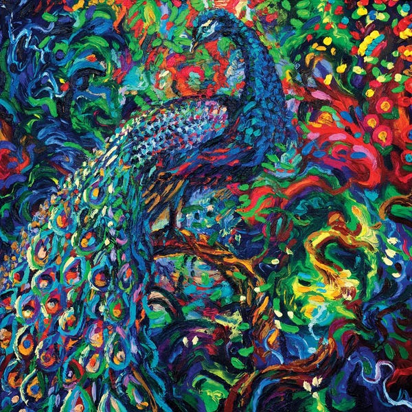 Peacocks: Bird's Eye View by Iris Scott