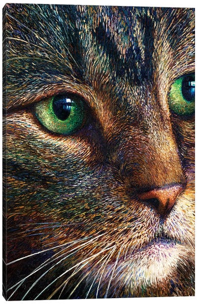 Broccoli Tabby Canvas Art Print - Cat Art