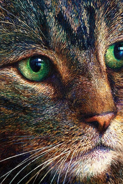 Tabbies: Broccoli Tabby by Iris Scott