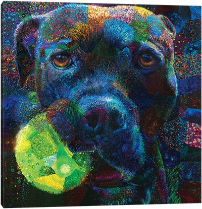 Oculi Canvas Art Print - Best Selling Dog Art
