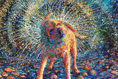 Secouer by Iris Scott framed wall art