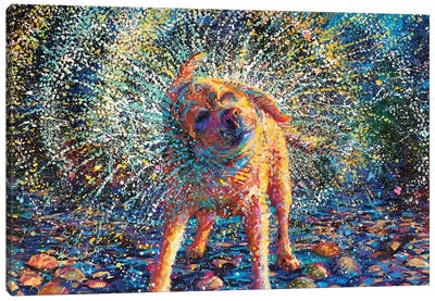 Secouer Canvas Art Print - Best Selling Dog Art