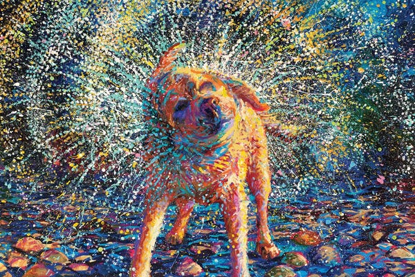 Labrador Retrievers