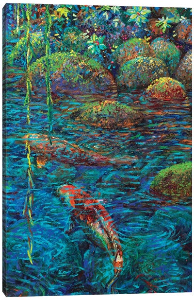 Waxwillow Lagoon IV Canvas Art Print - Koi Fish Art