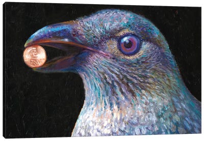 Bower Bird Canvas Art Print - Black & Dark Art