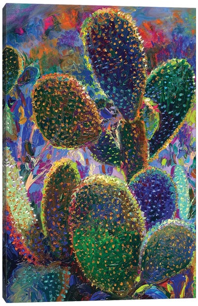 Cactus Nocturnus Canvas Art Print