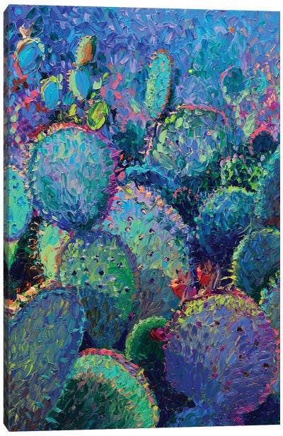 Cactus Refractus Canvas Art Print - Plant Art