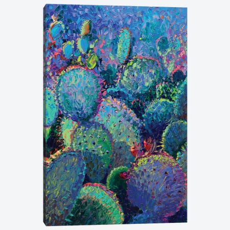 Cactus Refractus Canvas Print #IRS268} by Iris Scott Canvas Art