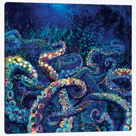 Cephalopod Canvas Print #IRS269} by Iris Scott Canvas Wall Art