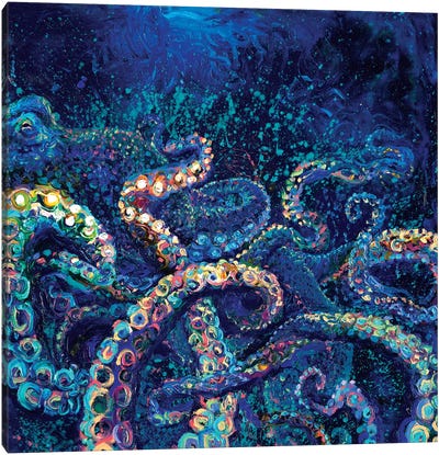 Cephalopod Canvas Art Print - Iris Scott