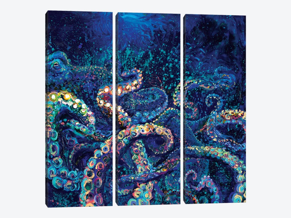 Cephalopod by Iris Scott 3-piece Canvas Wall Art