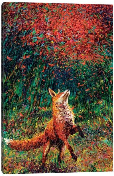 Fox Fire Canvas Art Print - Animal Art