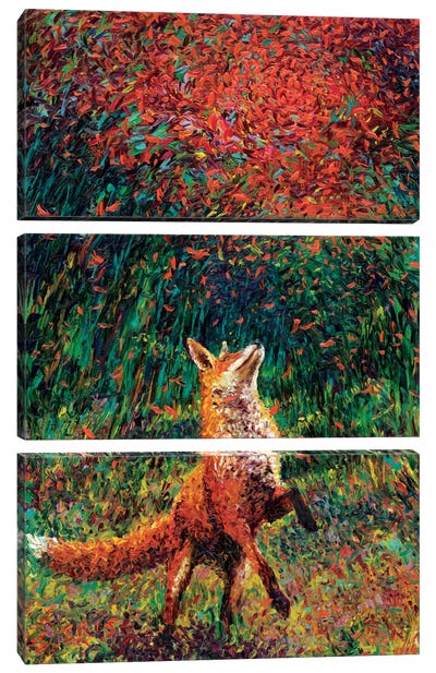 Fox Fire Canvas Art Print - 3-Piece Animal Art