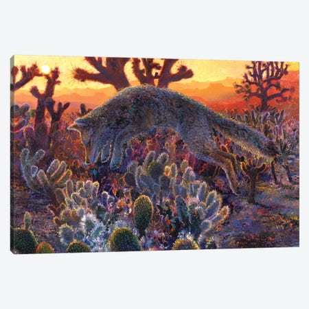 Desert Urchin Canvas Print #IRS272} by Iris Scott Canvas Art Print