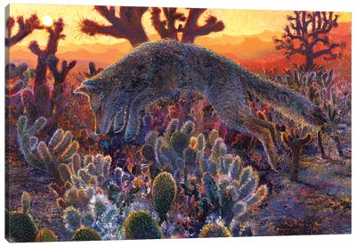 Desert Urchin Canvas Art Print - Cactus Art