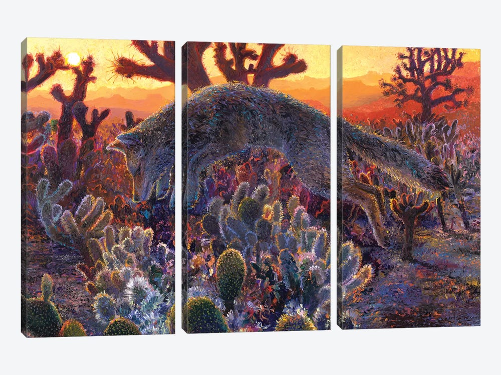 Desert Urchin by Iris Scott 3-piece Canvas Wall Art
