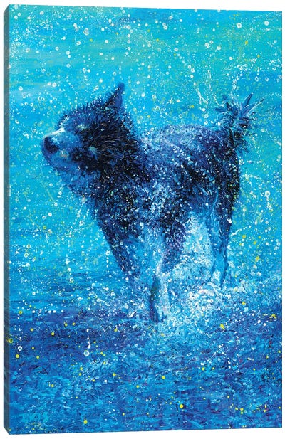 Kookoo Canvas Art Print - Iris Scott - Shakin' Dogs